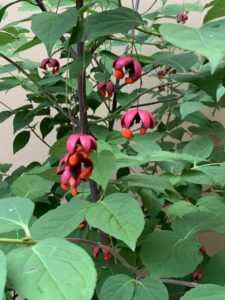 玄関先でお出迎え